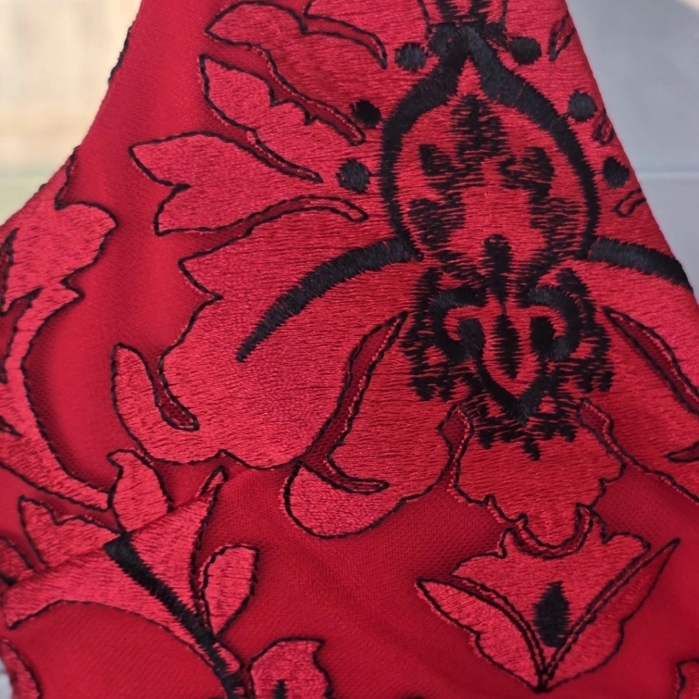 139 Siena V-Neck Dress Sz 10 Women Embroidered-Mesh Sleeveless New Holiday - Picture 9 of 14